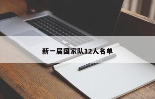 新一届国家队12人名单