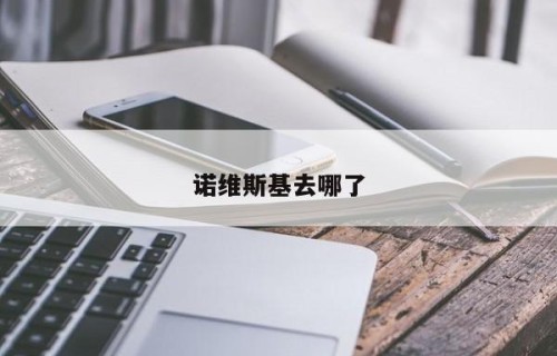 诺维斯基去哪了