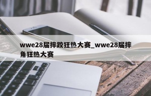 wwe28届摔跤狂热大赛_wwe28届摔角狂热大赛