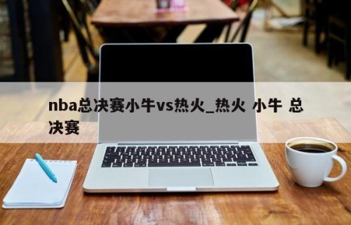 nba总决赛小牛vs热火_热火 小牛 总决赛