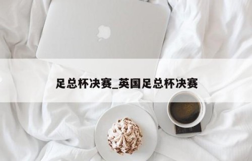 足总杯决赛_英国足总杯决赛
