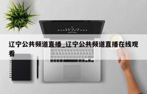 辽宁公共频道直播_辽宁公共频道直播在线观看