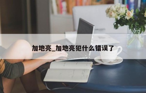 加地亮_加地亮犯什么错误了