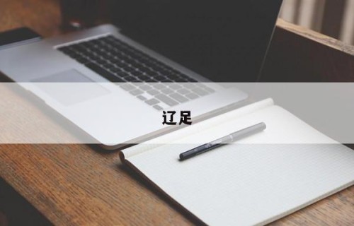 辽足