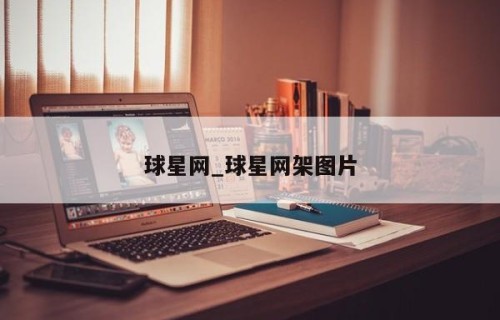 球星网_球星网架图片