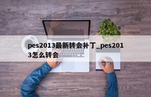 pes2013最新转会补丁_pes2013怎么转会