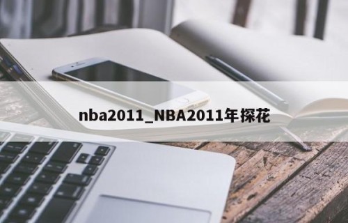 nba2011_NBA2011年探花