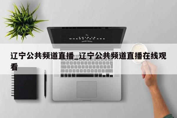 辽宁公共频道直播_辽宁公共频道直播在线观看