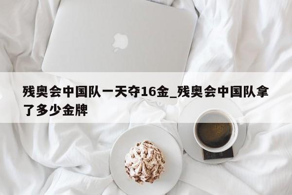 残奥会中国队一天夺16金_残奥会中国队拿了多少金牌