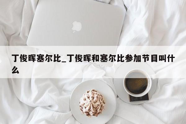 丁俊晖塞尔比_丁俊晖和塞尔比参加节目叫什么