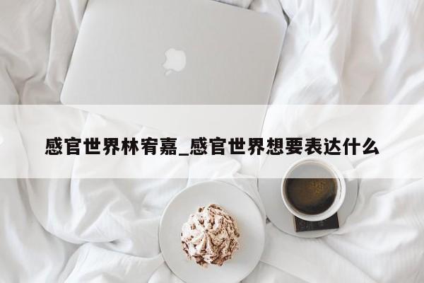 感官世界林宥嘉_感官世界想要表达什么