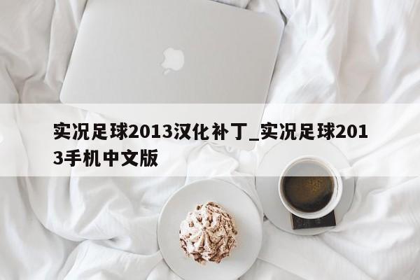 实况足球2013汉化补丁_实况足球2013手机中文版