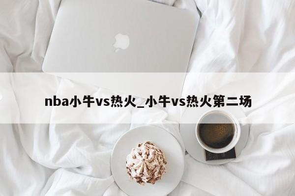 nba小牛vs热火_小牛vs热火第二场