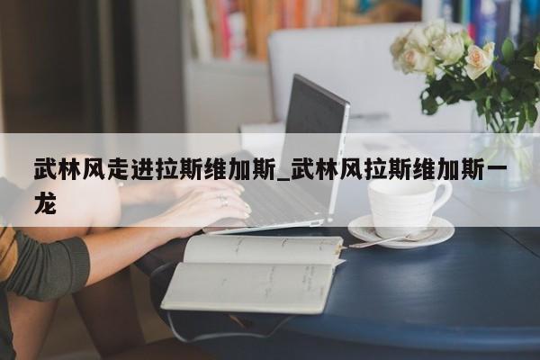 武林风走进拉斯维加斯_武林风拉斯维加斯一龙