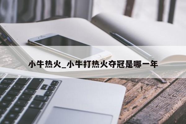 小牛热火_小牛打热火夺冠是哪一年