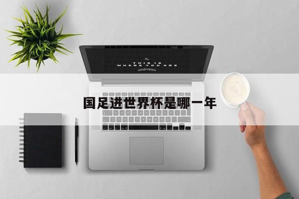 国足进世界杯是哪一年