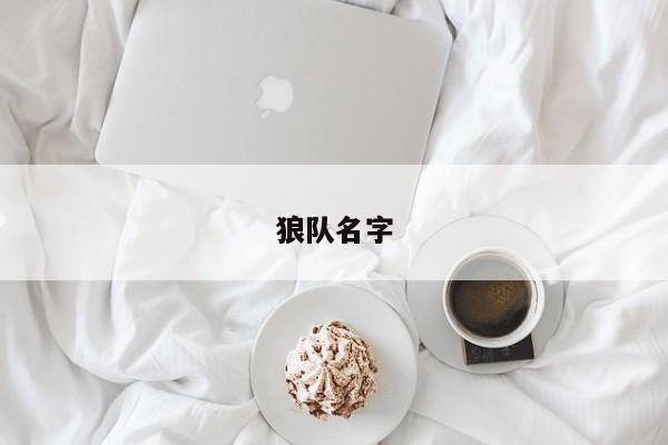 狼队名字