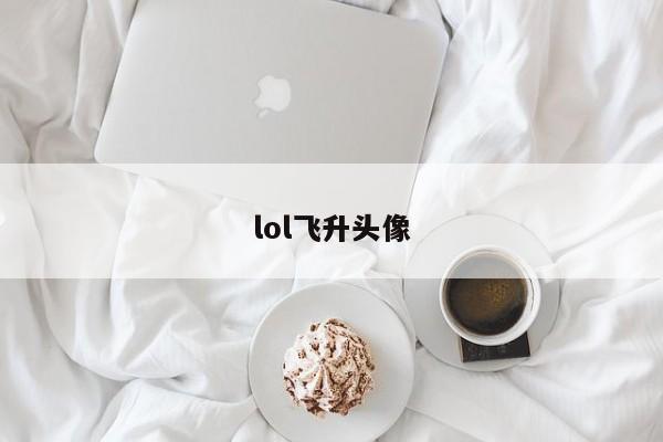 lol飞升头像
